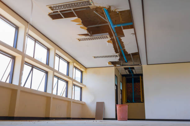 Best Professional water damage repair  in Marshallville, GA