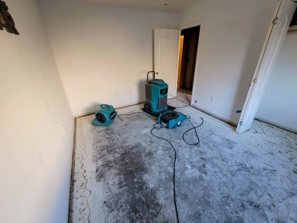 Best Fire Damage Restoration  in Marshallville, GA