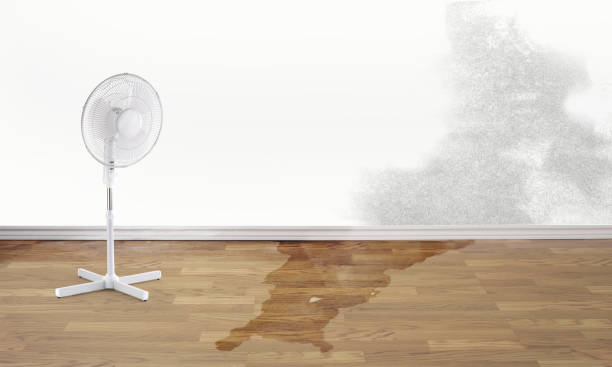 Best Ceiling water damage repair  in Marshallville, GA
