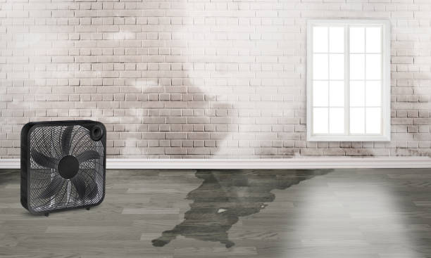 Best Commercial water damage restoration  in Marshallville, GA
