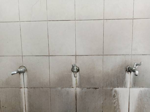  Marshallville, GA Water damage restoration Pros