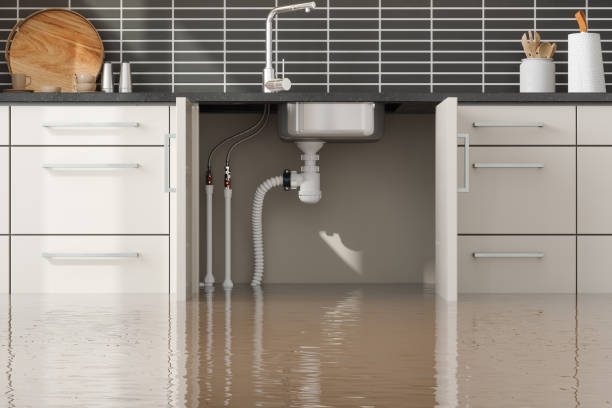 Carpet water damage restoration in GA